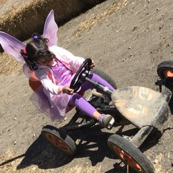 Mike's Maze At Warner Farm - Car w purple faerie!!!