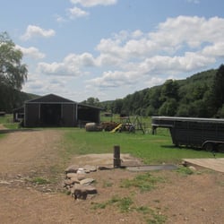 Country Meadows Equine - The land