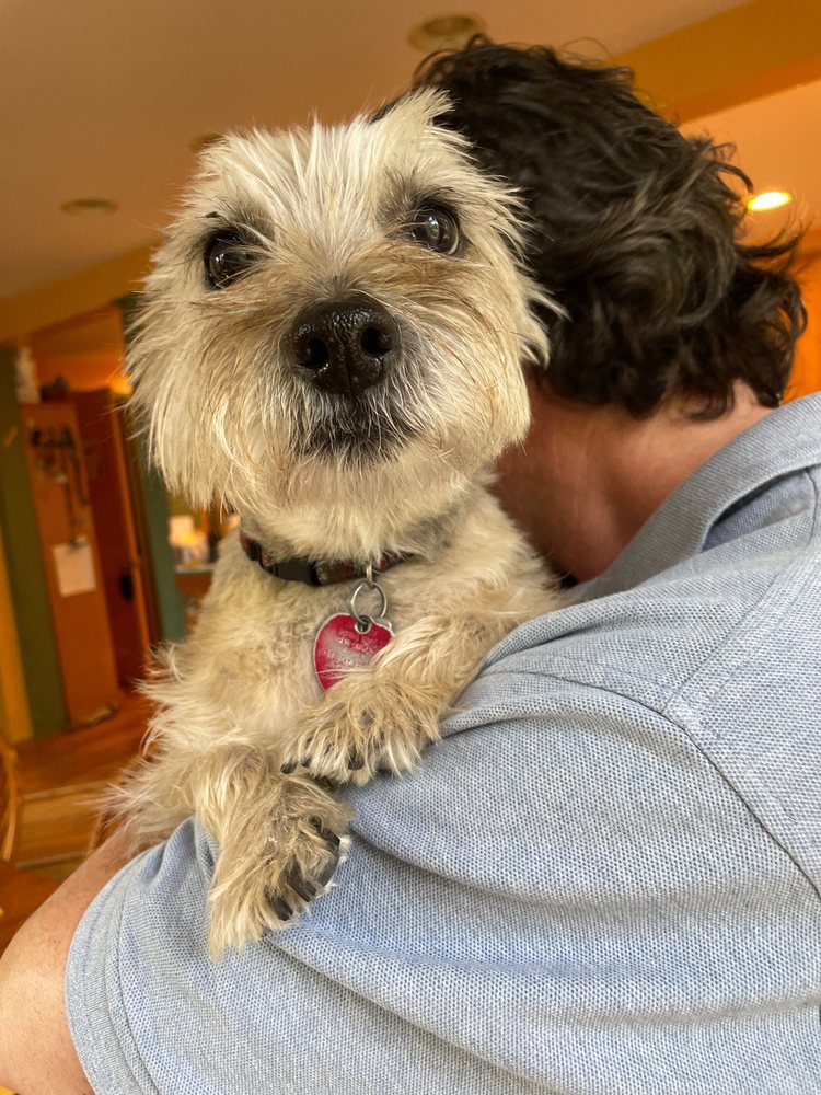 HAPPY TAILS TO YOU Updated September 2024 75 Photos & 12 Reviews