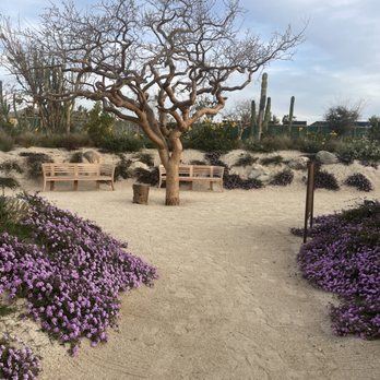 Rancho Pescadero - Hotels Near Me - El Pescadero, BCS