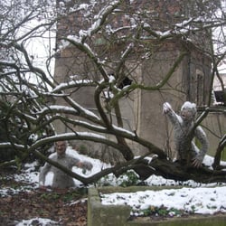 La Forêt Enchantée
