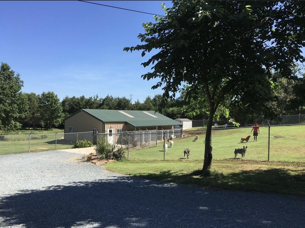 FIDOS RETREAT Updated September 2024 411 Clontz Long Rd, Monroe