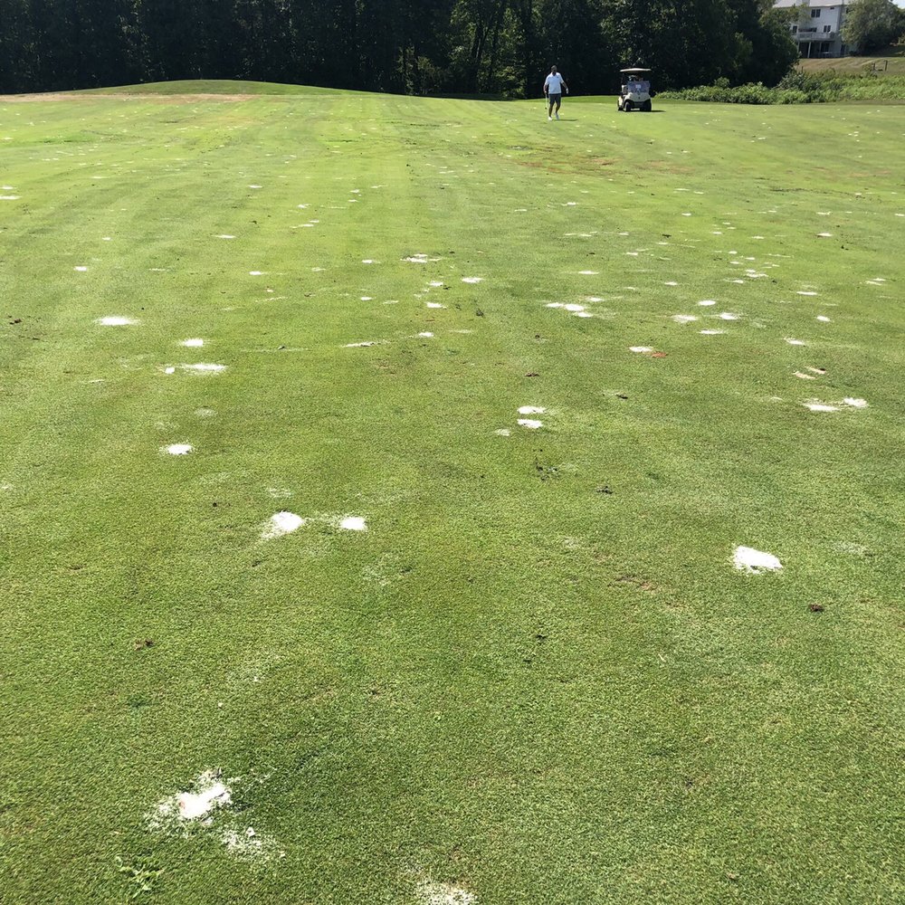 Fairway Fairway