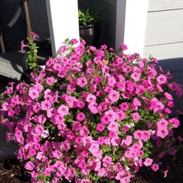 Bought a basket & it turned into this! Wow. Bought a basket & it turned into this! Wow.