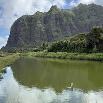 Kualoa Ranch - Tours Near Me - Kaneohe, Hawaii