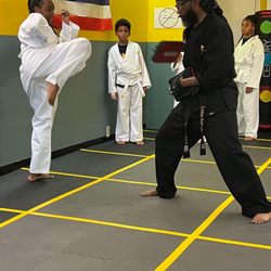 Dragonfly Martial Arts & Fitness - High roundhouse kick