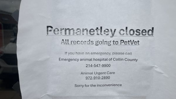 Noah's Ark Pet Hospital