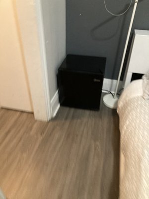 The Clarence Park by null