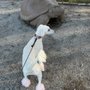 Photo of Turtle Playground
