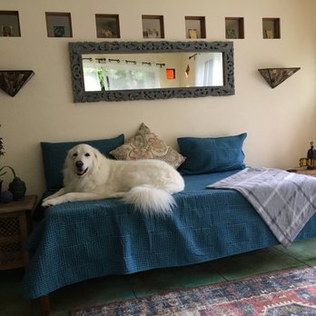 Pahoa Pet Grooming - Ghost feeling great after her groom! - Pet Groomers Near Me Pahoa Pet Grooming - Ghost feeling great after her groom! - Pet Groomers Near Me