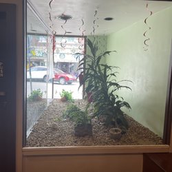 Jin Sushi - Window display