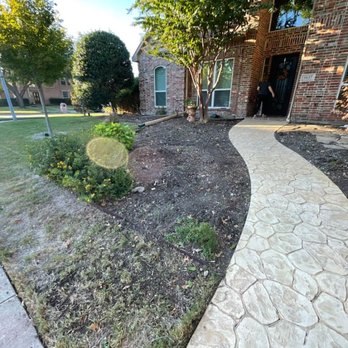 Chorbie - Damaged grass from the untreated army worm infestation. - Lawn Services Near Me - Frisco, Texas