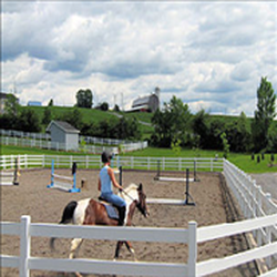 Canterbury Stables