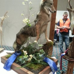 Bucks and Boars Taxidermy