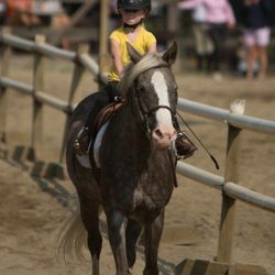 Falcon Ridge Stable
