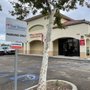 Registration Service by One Thousand Oaks Errands