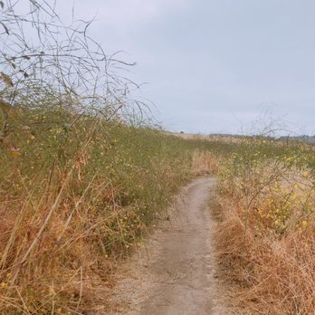 Bommer Canyon - Hiking Near Me - Irvine, California