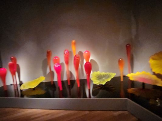 Oklahoma City Museum of Art by null