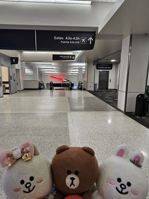 Alaska Airlines by null