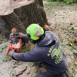 4 Seasons Tree Service