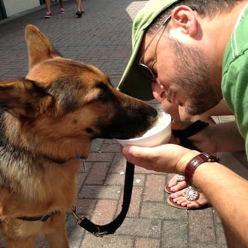 Tye German Shepherds - Sharing ice cream with her daddy - Pet Breeders Near Me - Canton, Georgia