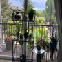 Photo of Scenic Vista Senior Apartments