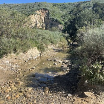 Harmon Canyon Preserve - Another stream crossing - Hiking Near Me - Ventura, California