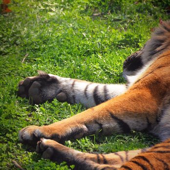 Toronto Zoo - Zoos Near Me - Toronto, Ontario Toronto Zoo - Zoos Near Me - Toronto, Ontario