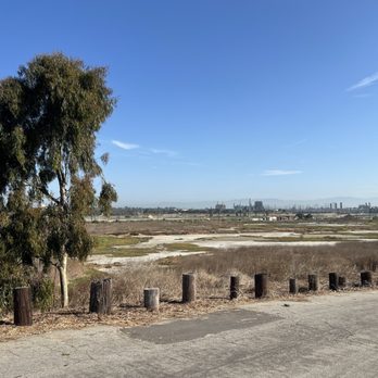 Gum Grove Nature Park - Plain sight - Hiking Near Me - Seal Beach, California