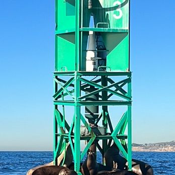 SoCal Whale Watching - Whale Watching Tours Near Me - Long Beach, California