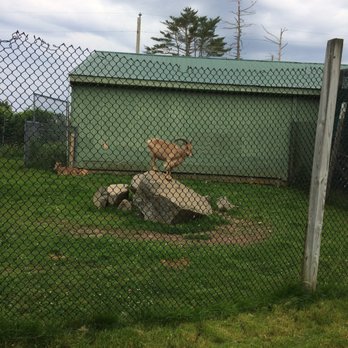 York Wild Kingdom - Amusement Parks Near Me - York, Maine