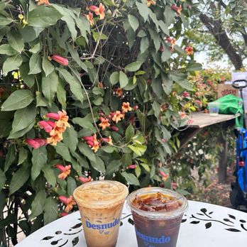 Desnudo Coffee - Coffee Roasteries Near Me - Austin, Texas