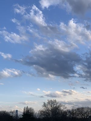 Owl's Head Park by null