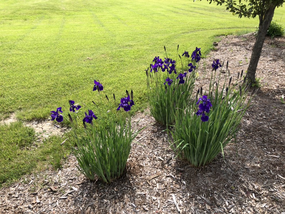 SALINE MEADOWS 11 Photos 6564 E Michigan Ave, Saline, MI Yelp