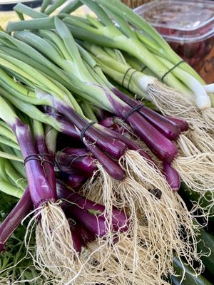 Uptown Farmers Market by null