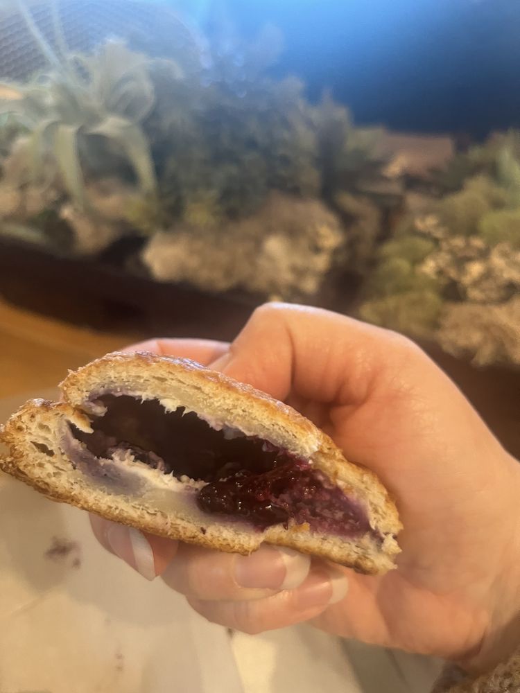 FRESH BAKED CAFE Updated September 2024 49 Photos & 46 Reviews