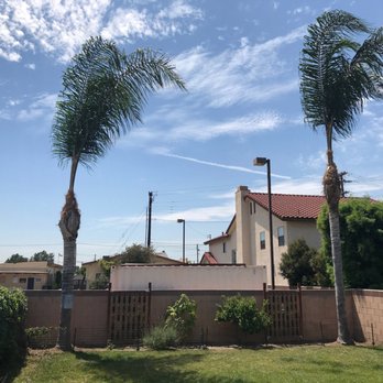 Top Unit Tree Service - AFTER - Tree Services Near Me - Norwalk, California Top Unit Tree Service - AFTER - Tree Services Near Me - Norwalk, California