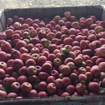 Lee's Orchards - a crate full of apples - Fruits & Veggies Near Me - Washington, Virginia