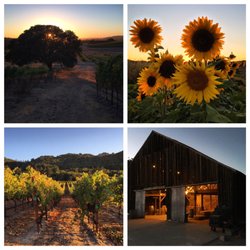 Belden Barns - Gorgeous property