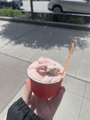 Shy Guy Gelato by null
