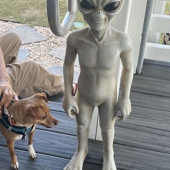 Blue Moon Beach Grill - My dog with the alien - Seafood Near Me - Nags Head, North Carolina Blue Moon Beach Grill - My dog with the alien - Seafood Near Me - Nags Head, North Carolina