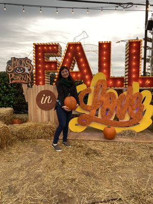 Jack's Pumpkin Pop-up by null