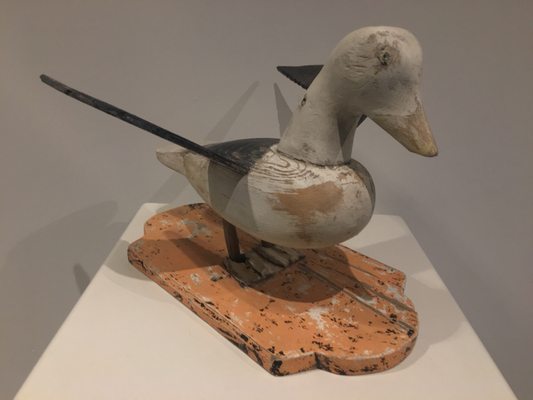 Art Gallery of Nova Scotia by null