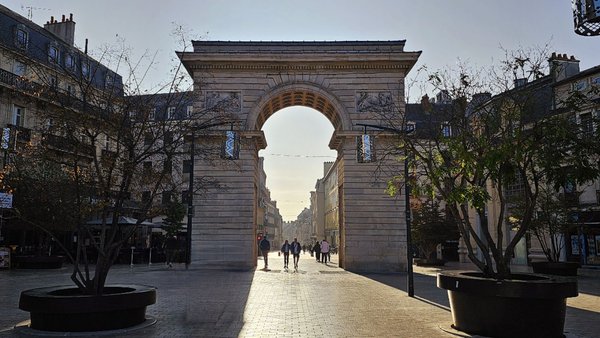 Darcy Garden by null