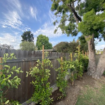 Connor's Landscape - Uneven posts. Sloppy - Irrigation Near Me