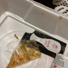 Plastic