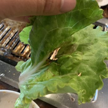 Dae Gee Korean Bbq - Lettuce - Korean Near Me - Aurora, Colorado