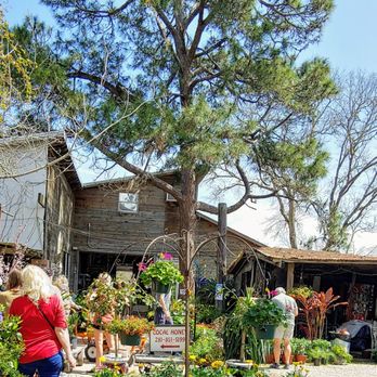 Maas Nursery - Line to pay. It moved quickly - Nurseries & Gardening Near Me - Seabrook, Texas