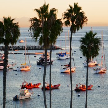 The Avalon Hotel - Hotels Near Me - Avalon, California