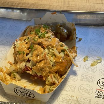 Dog Haus - Pasadena - Ruben tots - New American Near Me - Pasadena, California Dog Haus - Pasadena - Ruben tots - New American Near Me - Pasadena, California